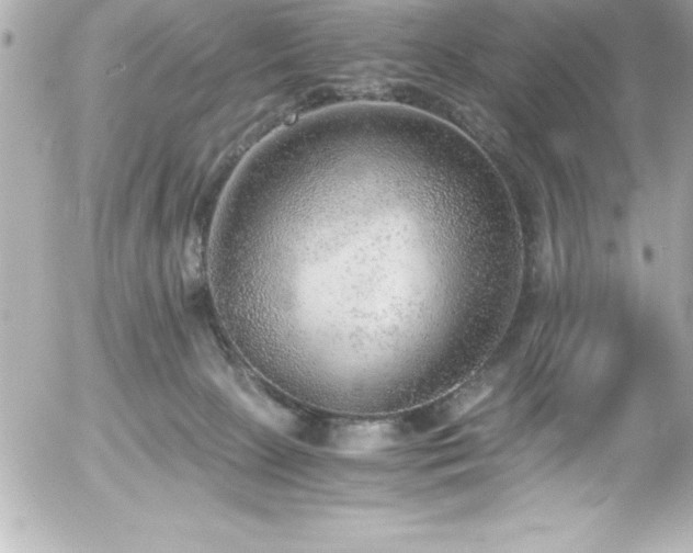 X0000056000081200508191334