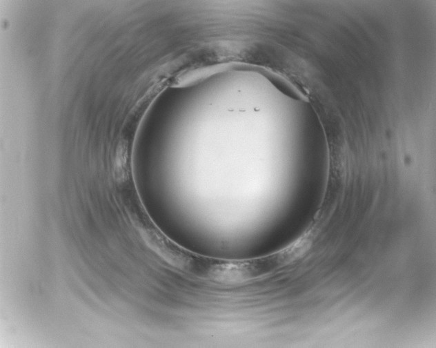 X0000056000082200508191334