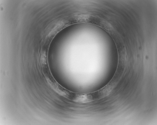 X0000056000083200508191334