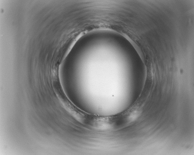 X0000056000084200508191334