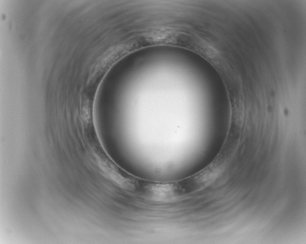 X0000056000085200508191334