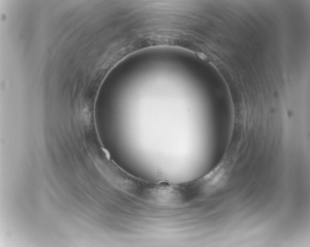 X0000056000086200508191334