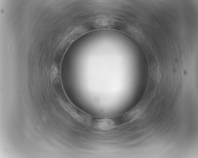 X0000056000087200508191335