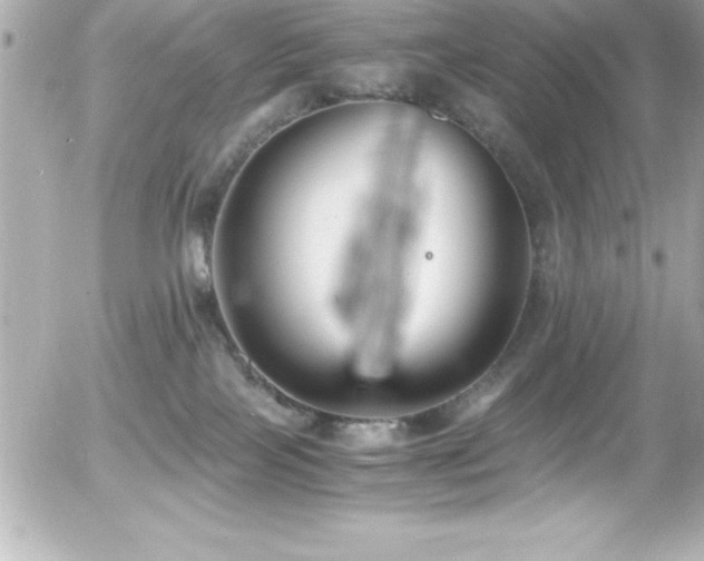 X0000056000089200508191335