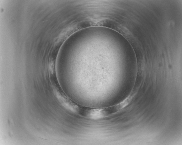 X0000056000090200508191335