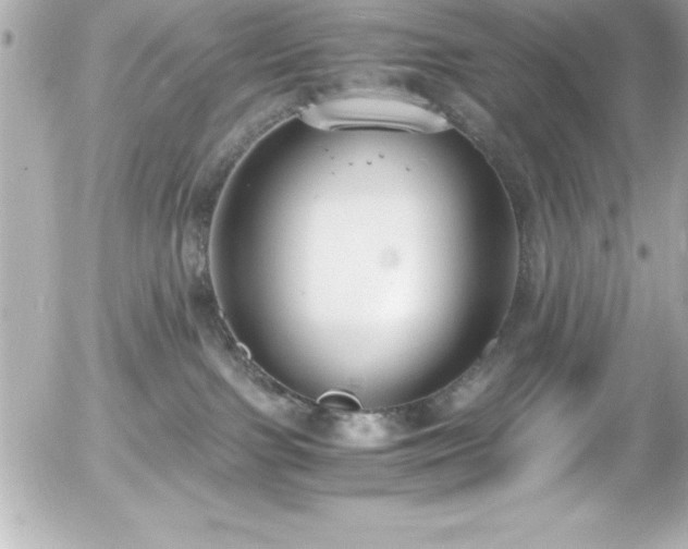 X0000056000091200508191335