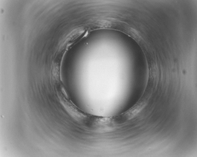 X0000056000092200508191335