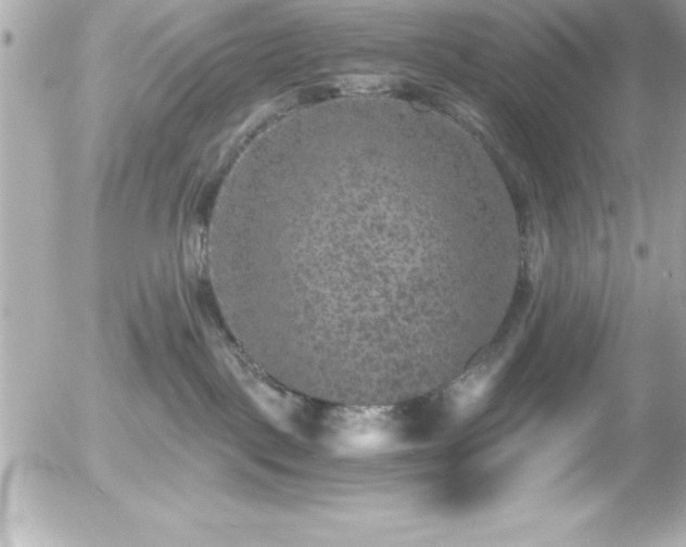 X0000056000093200508191335