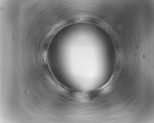 X0000056000094200508191335