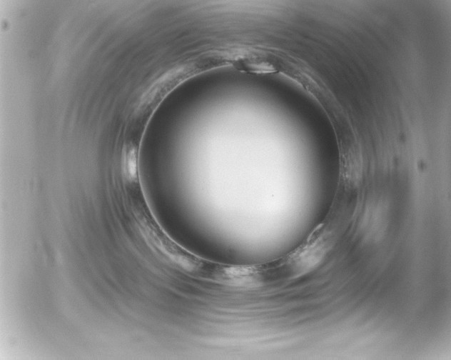 X0000056000095200508191335