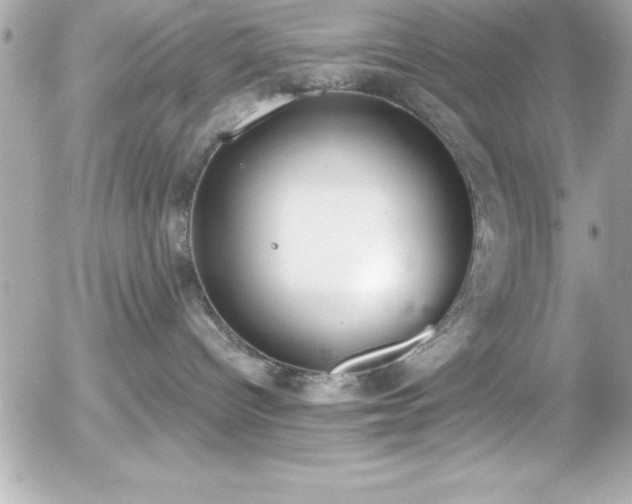 X0000056000096200508191335