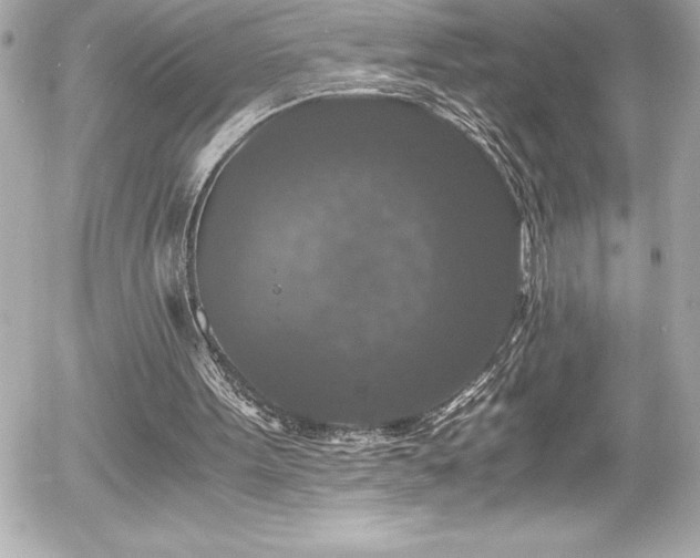 X0000056000099200508191334