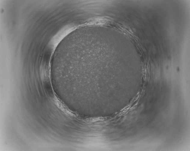 X0000056000100200508191334