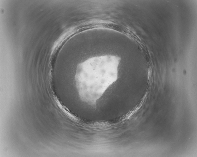 X0000056000101200508191334