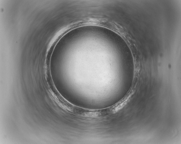 X0000056000102200508191334