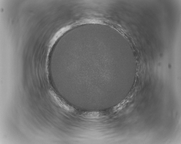 X0000056000104200508191334