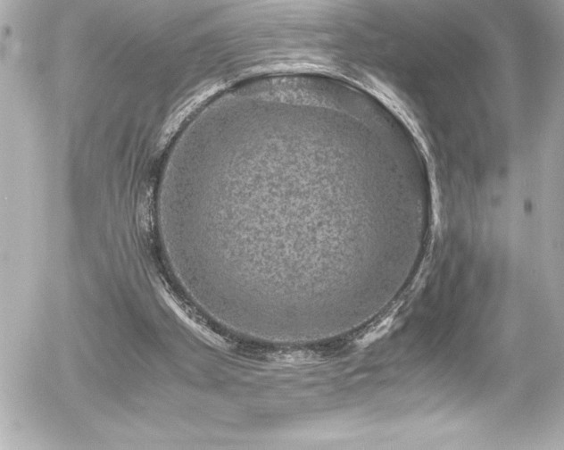 X0000056000105200508191334