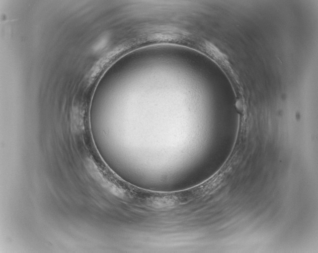 X0000056000106200508191334