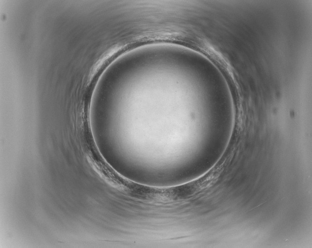 X0000056000107200508191334