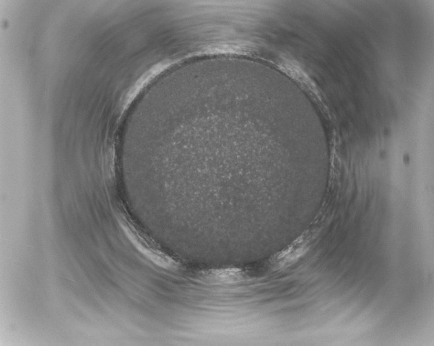 X0000056000108200508191334