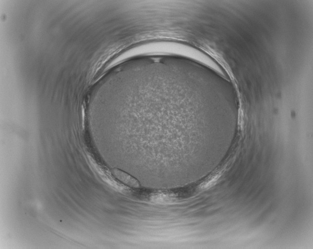 X0000056000109200508191334