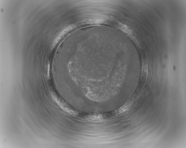 X0000056000110200508191334