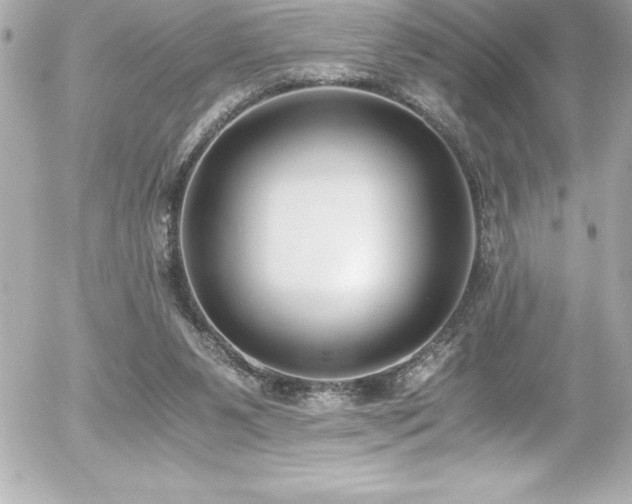 X0000056000111200508191334