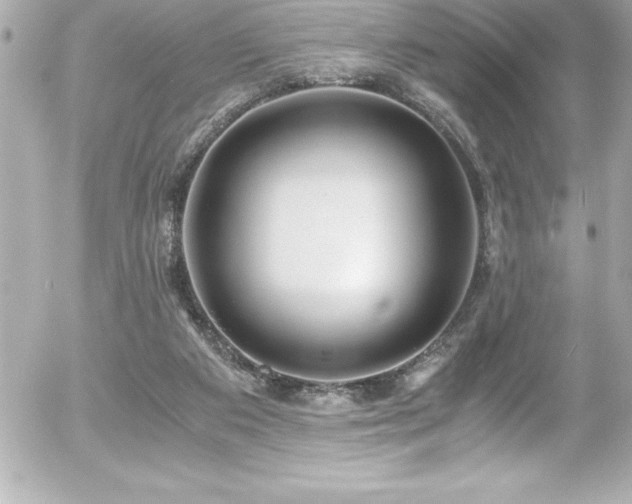 X0000056000113200508191334