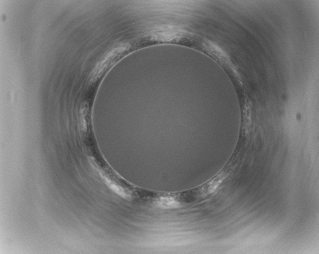 X0000056000114200508191334