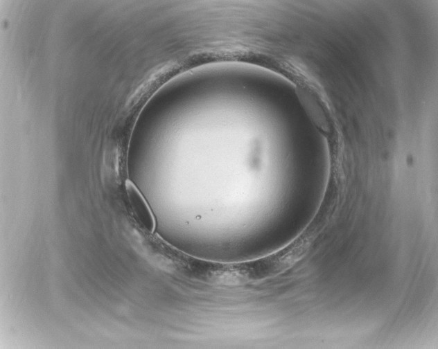 X0000056000115200508191334