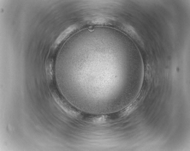 X0000056000116200508191334