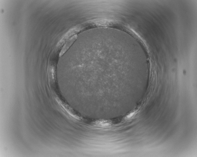 X0000056000117200508191334