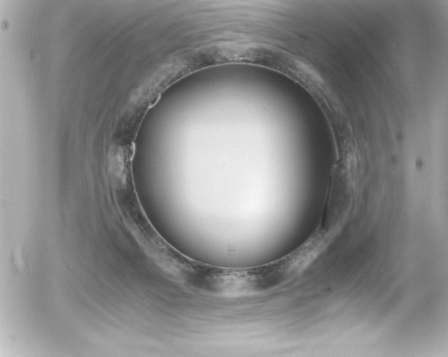 X0000056000121200508191333