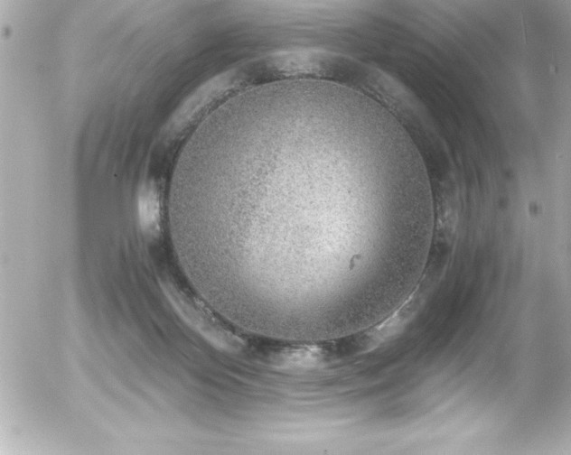 X0000056000124200508191333