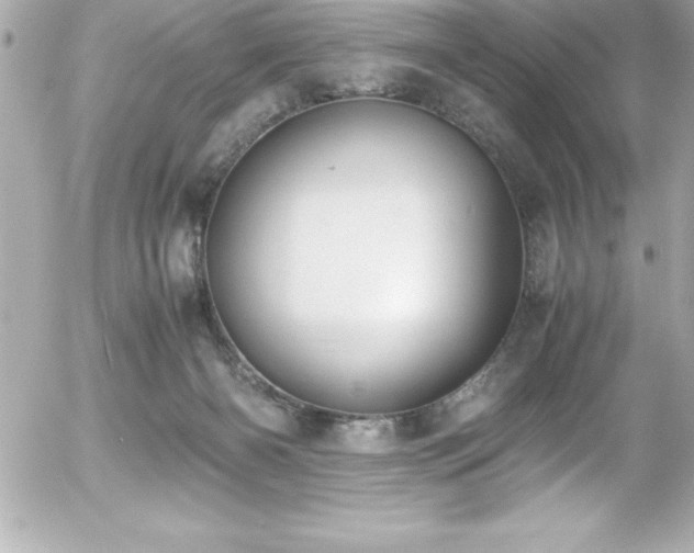 X0000056000126200508191333