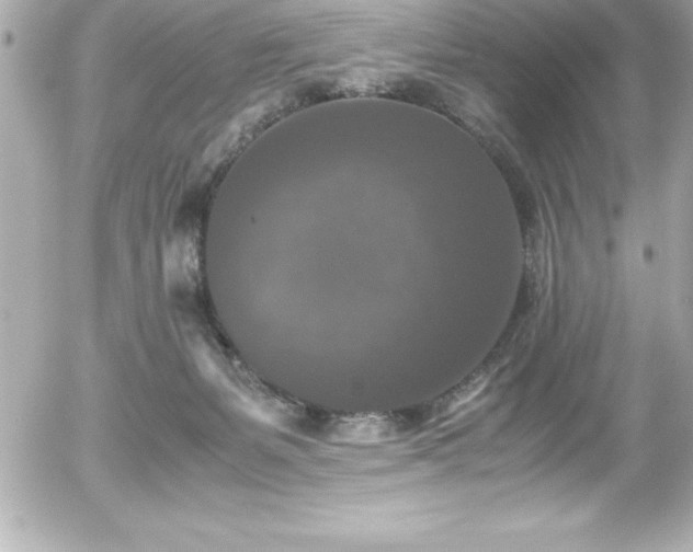 X0000056000127200508191333