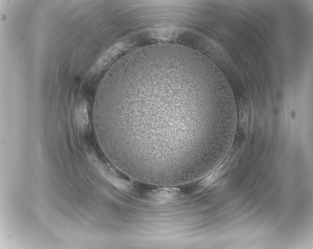 X0000056000128200508191333