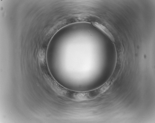 X0000056000129200508191333