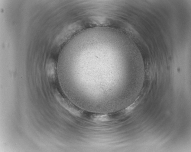 X0000056000132200508191333