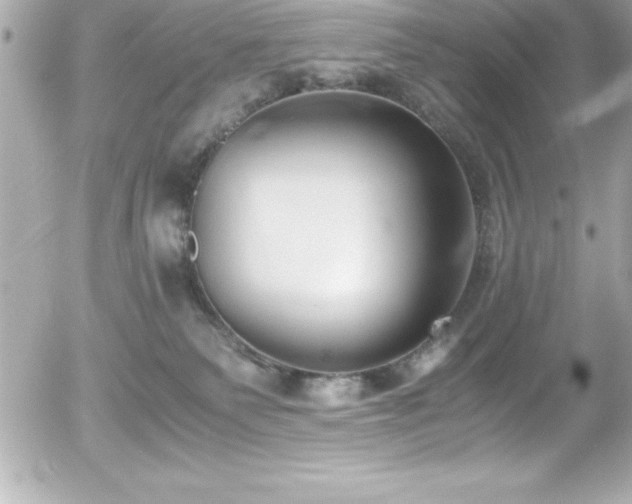 X0000056000135200508191333