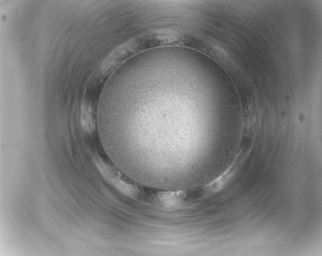 X0000056000136200508191333