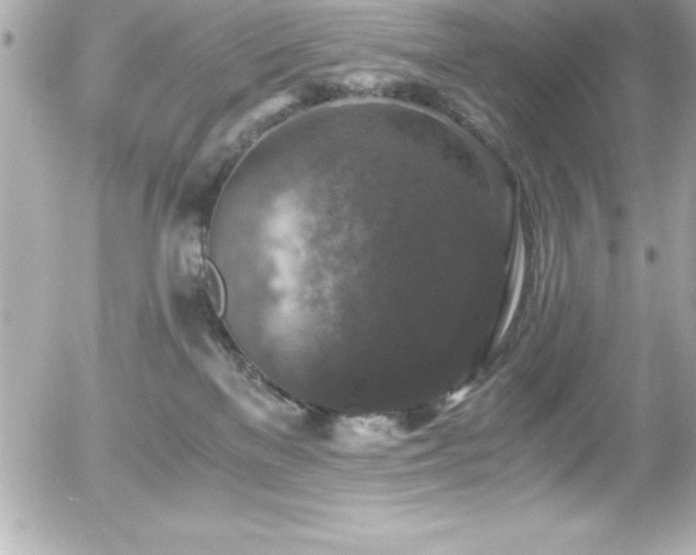 X0000056000137200508191333