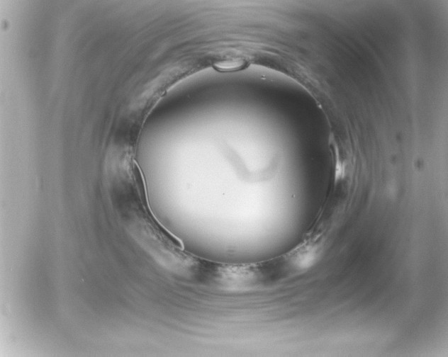 X0000056000141200508191333