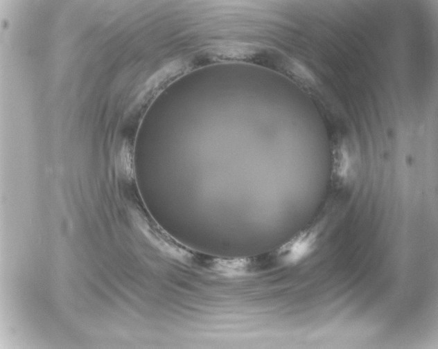 X0000056000143200508191333