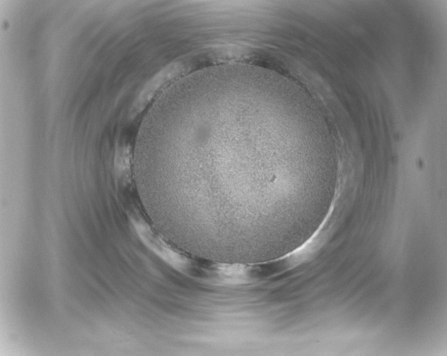 X0000056000144200508191333