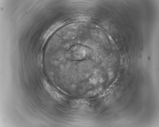 X0000056000146200508191332