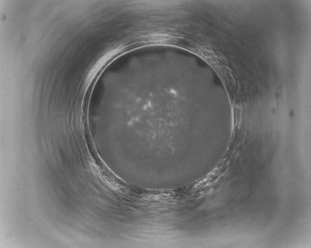 X0000056000147200508191332