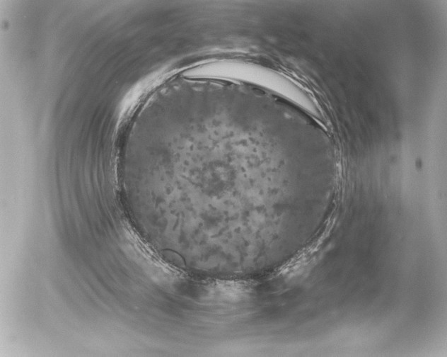 X0000056000149200508191332