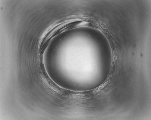 X0000056000150200508191332