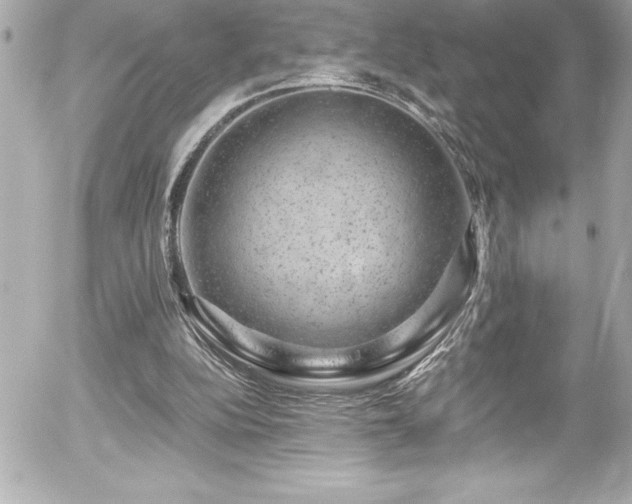 X0000056000152200508191332